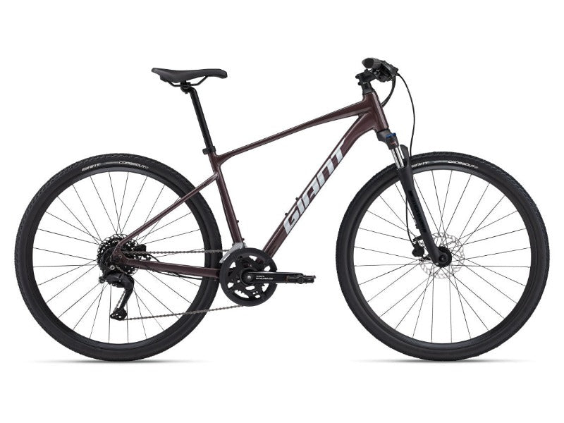 Giant Roam 2 Disc Hybrid Bike 2024 Formby Cycles